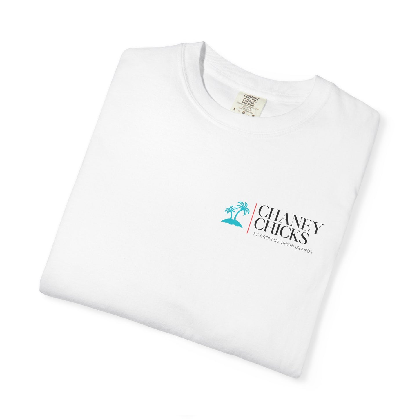 Chaney Chicks - REV 21:5 - Sea Glass T-shirt