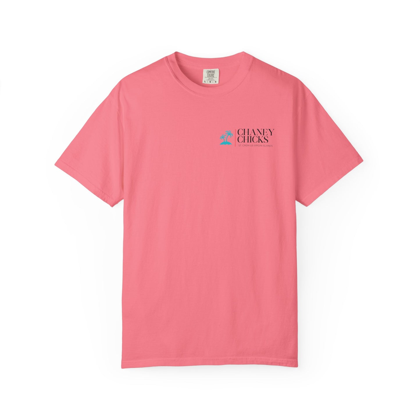 Chaney Chicks - REV 21:5 - Sea Glass T-shirt