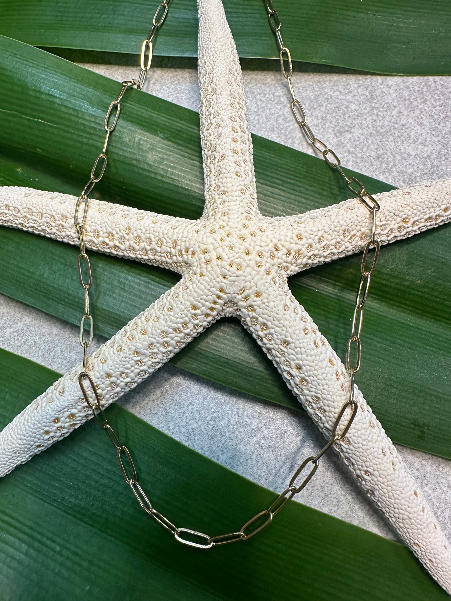 Stainless Steel Gold