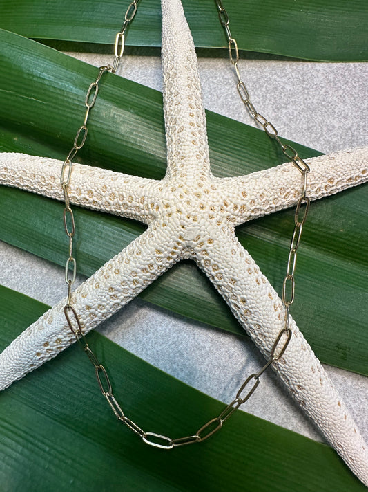 Stainless Steel Gold