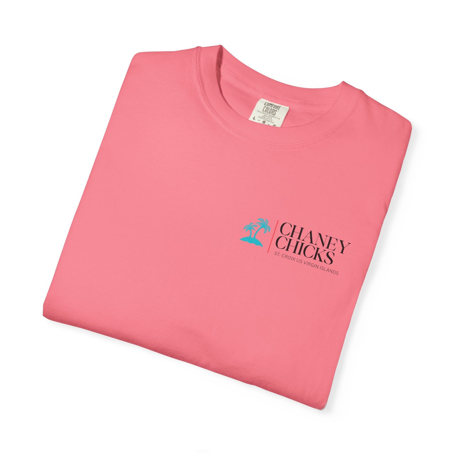 Chaney Chicks - REV 21:5 - Sea Glass T-shirt