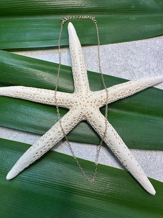 Stainless Steel Necklace