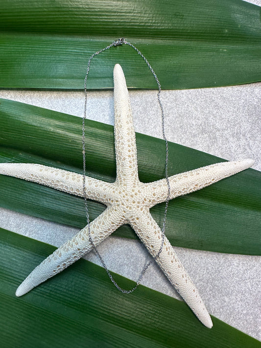 Stainless steel silver