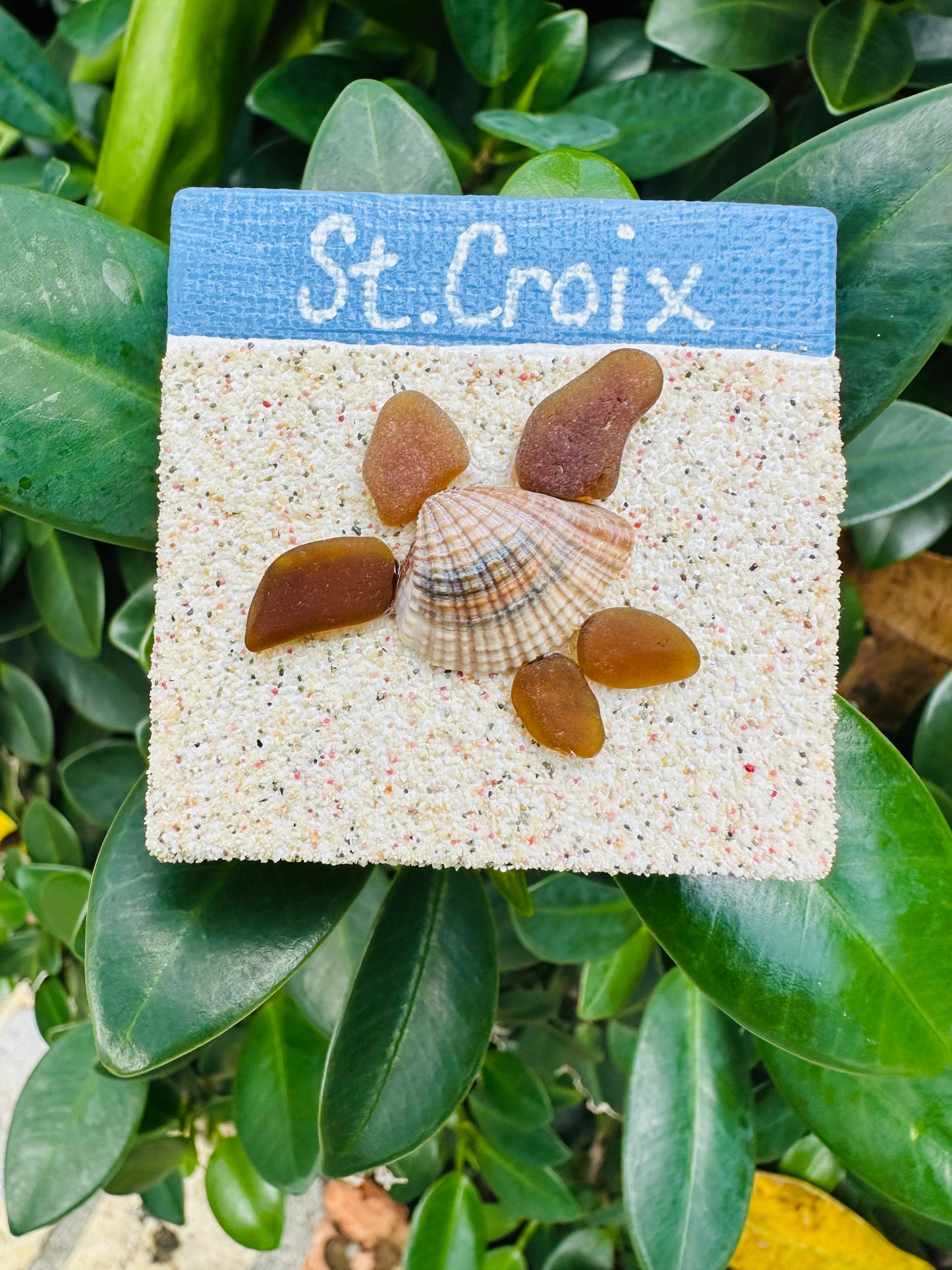 Seaglass and Shell Magnet