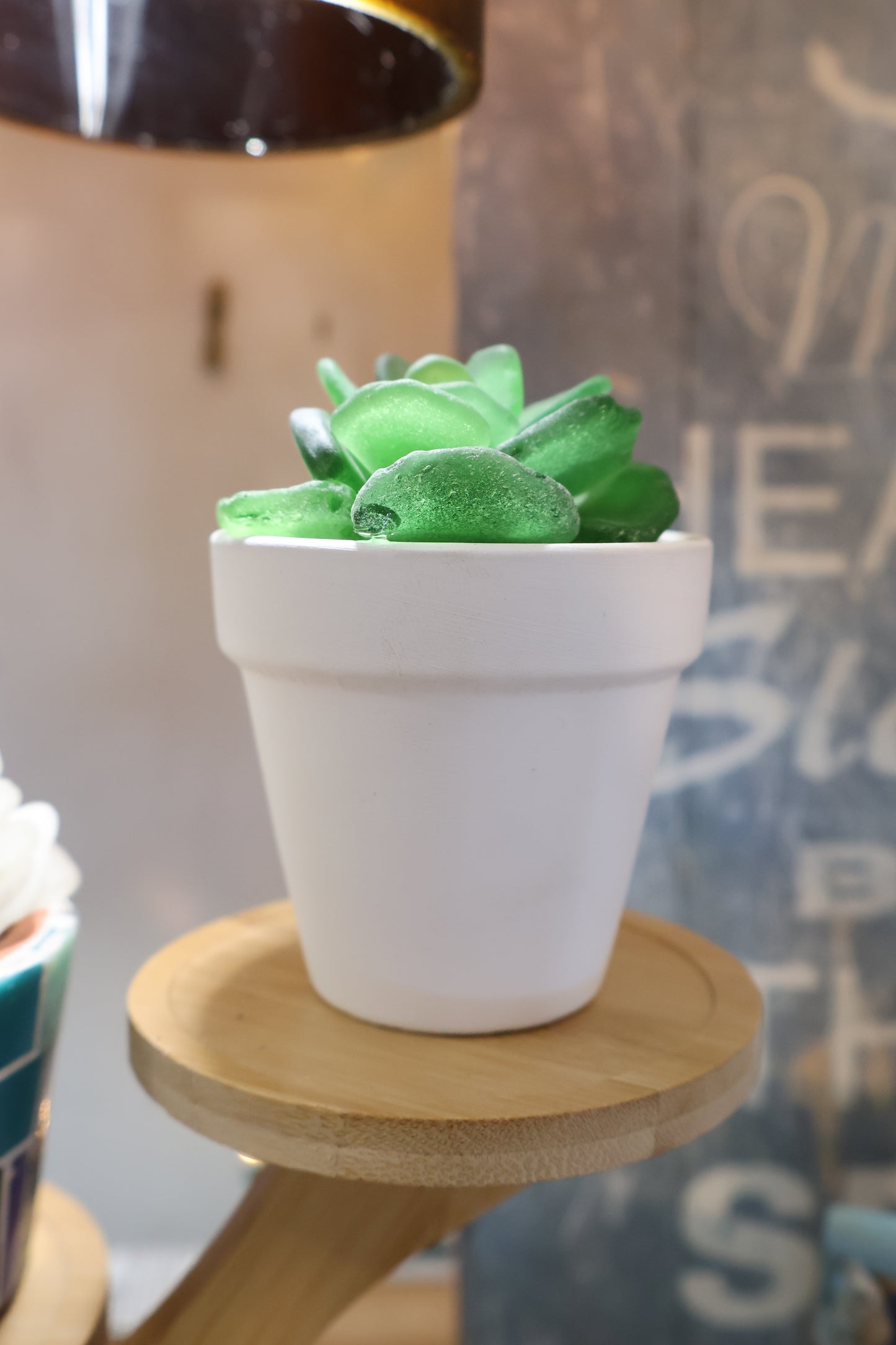 Sea Glass Succulent