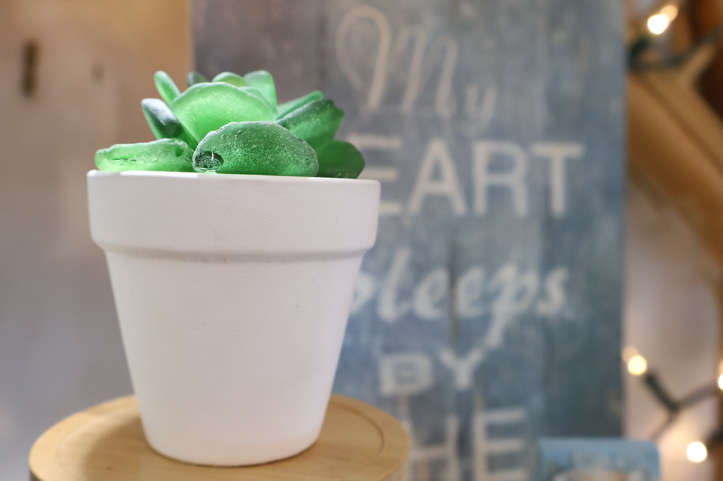 Sea Glass Succulent