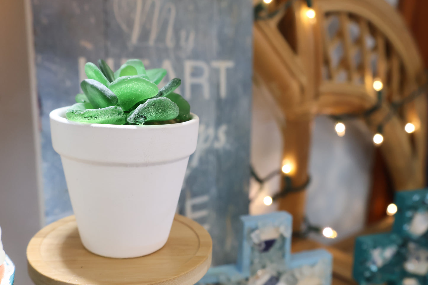 Sea Glass Succulent