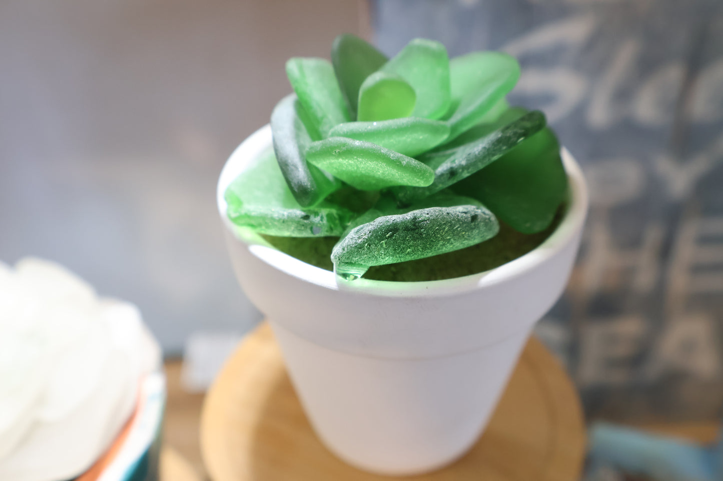 Sea Glass Succulent
